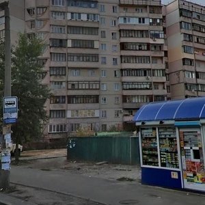 Kniazhyi Zaton Street, 12 ، كييف: صورة