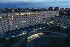 Vavilovykh Street, 14, Saint Petersburg: photo