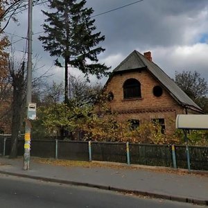 Valeriia Lobanovskoho Avenue, 67, : foto