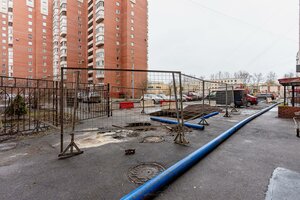 Veteranov Avenue, 109к1 ، سان بطرسبرغ: صورة