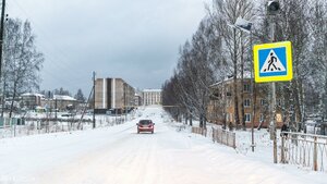 Челябинская область, Улица Гагарина, 9: фото