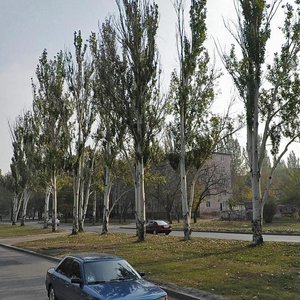 Kosmichna vulytsia, 110, Zaporizhia: photo