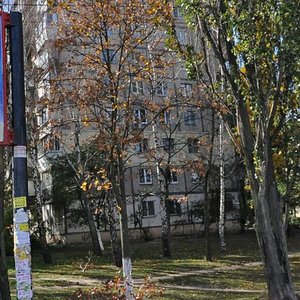 Petra Kurinnoho Street, 1 ، كييف: صورة