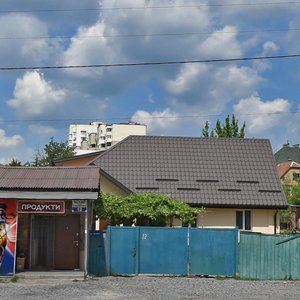 Khrystyny Sushko Street, 12, Kyiv: photo
