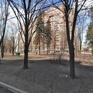 Izmaylovskіy Boulevard, 55, Moscow: photo