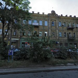 Kniahyni Olhy Street, 2, Dnipro: photo