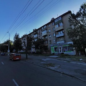 Oleksandra Polia Avenue, 48А, Dnipro: photo