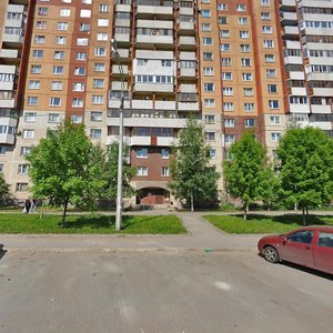 Turistskaya Street, 38 ، سان بطرسبرغ: صورة