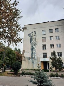 Harmatna Street, 53, Kyiv: photo
