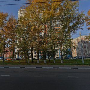 Нижний Новгород, Улица Родионова, 167к1: фото