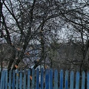 Universytetska Street, 30, : foto