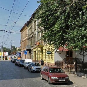 Vulytsia Tobilevycha, 3, Lviv: photo