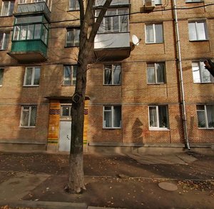 Ivana Svitlychnoho Street, 4, Kyiv: photo