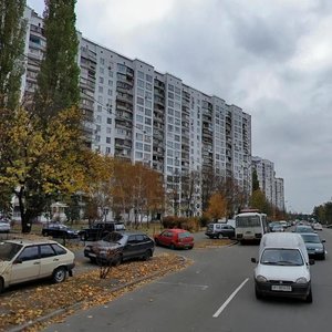 Henerala Zhmachenka Street, 12, Kyiv: photo