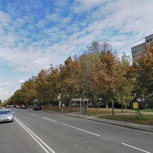 Demiivska Street, 51, Kyiv: photo