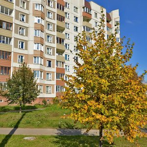 Prushynskih Street, 70, Minsk: photo