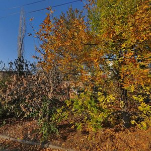 Vulytsia Kazarskoho, 3, Mykolaiv: photo