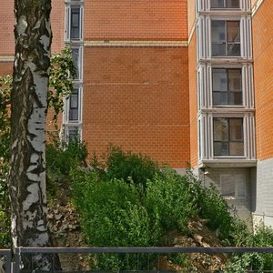 Moskovskiy Drive, 11, Balashiha: photo