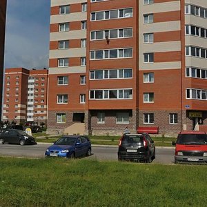 Settlement of Telmana, 5, Saint‑Petersburg and Leningrad Oblast: photo