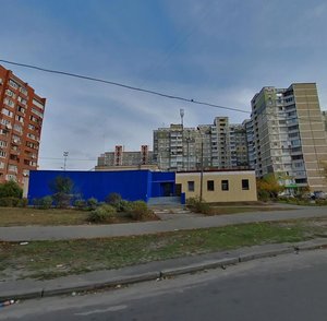 Drahomanova Street, 19, Kyiv: photo