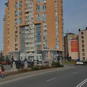 Raisy Okipnoi Street, 10, Kyiv: photo