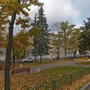 Shawchenki Boulevard, 7, Minsk: photo