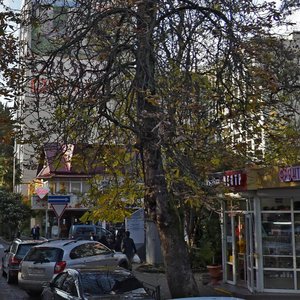 Vorovskogo Street, 29, Sochi: photo