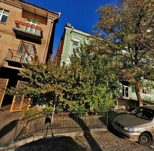 Shovkovychna Street, 50А, Kyiv: photo