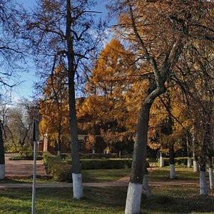 Schapovo Village, 13, : foto