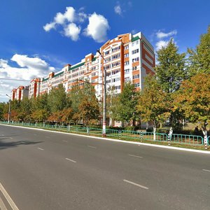 Ulyanova Street, 95, Saransk: photo