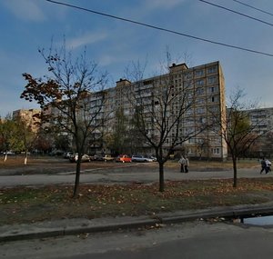 Heroiv Stalinhrada Avenue, 30, Kyiv: photo