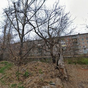 Priupskaya Street, 8, Tula: photo