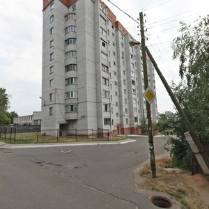 Воронеж, Улица Челюскинцев, 69: фото