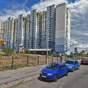 Kostiantyna Dankevycha Street, 8, Kyiv: photo