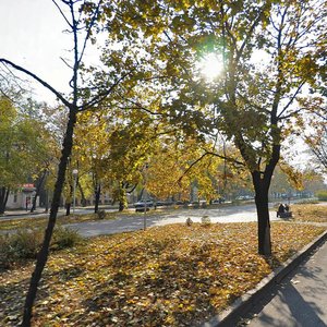 Bulvar Shevchenka, 25, Zaporizhia: photo