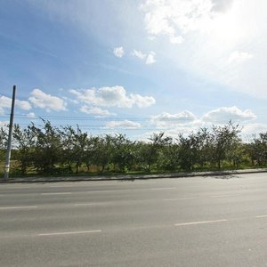 Bratev Kashirinykh Street, 119, Chelyabinsk: photo