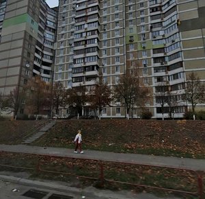 Mykoly Ushakova Street, 16, Kyiv: photo