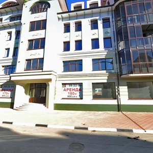 Polonskogo Street, 16, Ryazan: photo