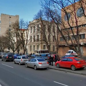 Mechnykova Street, 5, Kyiv: photo