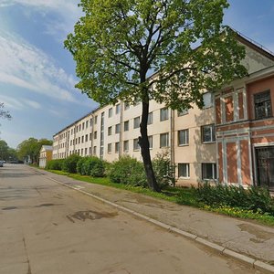 Reki Maloy Nevki Embankment, 3, Saint Petersburg: photo