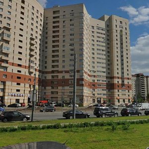 Gakkelevskaya Street, 33к1, Saint Petersburg: photo