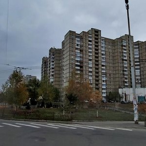 Akademika Yefremova Street, 17, : foto