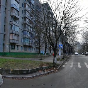 Oleksy Tykhoho Street, 55/13, Kyiv: photo
