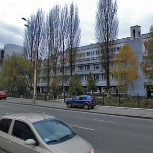 Viacheslava Chornovola Street, 24, Kyiv: photo