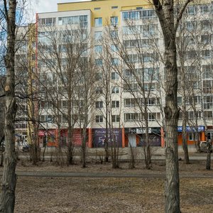 Amundsena Street, 52, Yekaterinburg: photo