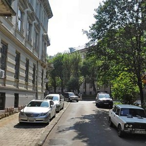 Profesorska vulytsia, 2, Lviv: photo