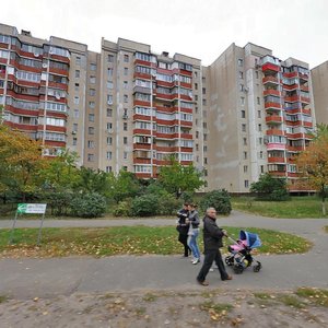 Volodymyra Vysotskoho Boulevard, 6, Kyiv: photo