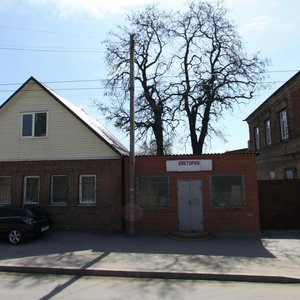 Myasnikova Street, 38 ، روستوف نا دونو: صورة