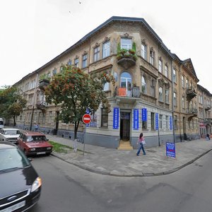 Vulytsia Vahylevycha, 2, Lviv: photo