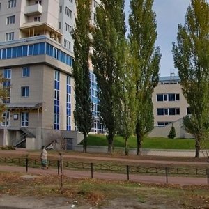 Yuriia Shumskoho Street, 1, Kyiv: photo